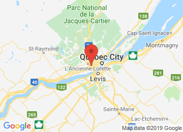 Google Map pour l'emplacement du concessionnaire